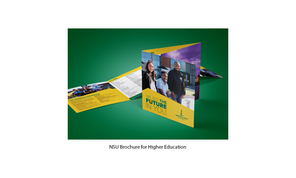 NSU Brochure for Higher Education